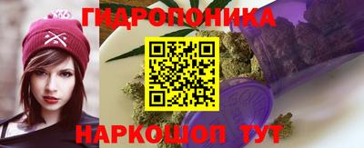 mdpv Кандалакша
