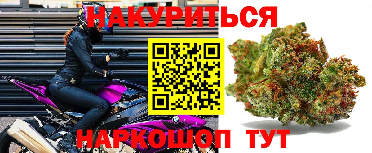 Махачкала  Каннабис тримм  Вход с VPN  Бошки марихуана White Widow  Канабис план 